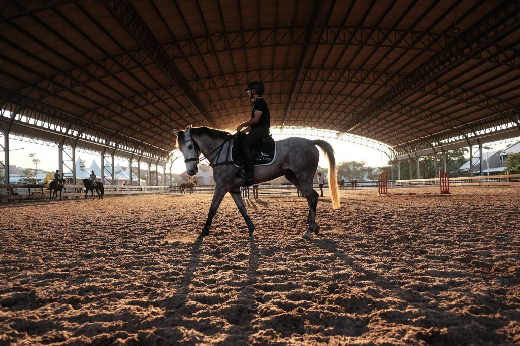 manège cheval