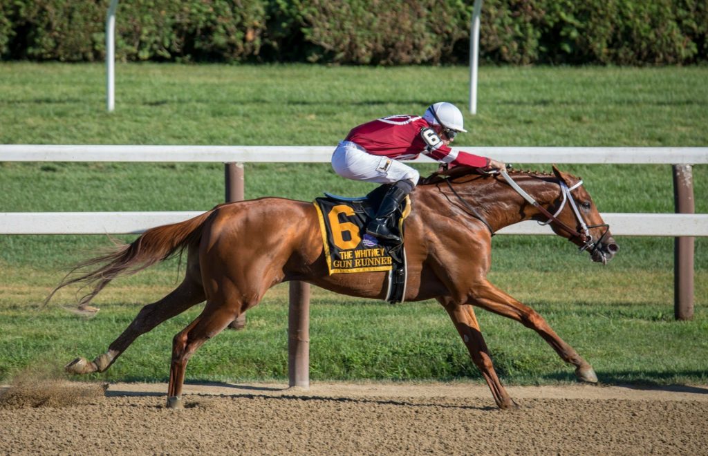 prix cheval course