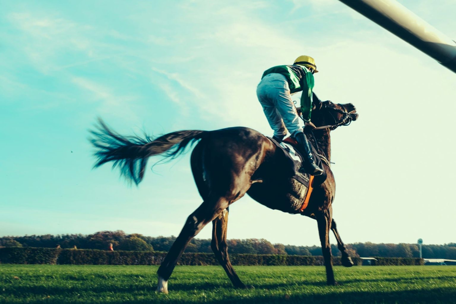 Vitesse Maximum Dun Cheval