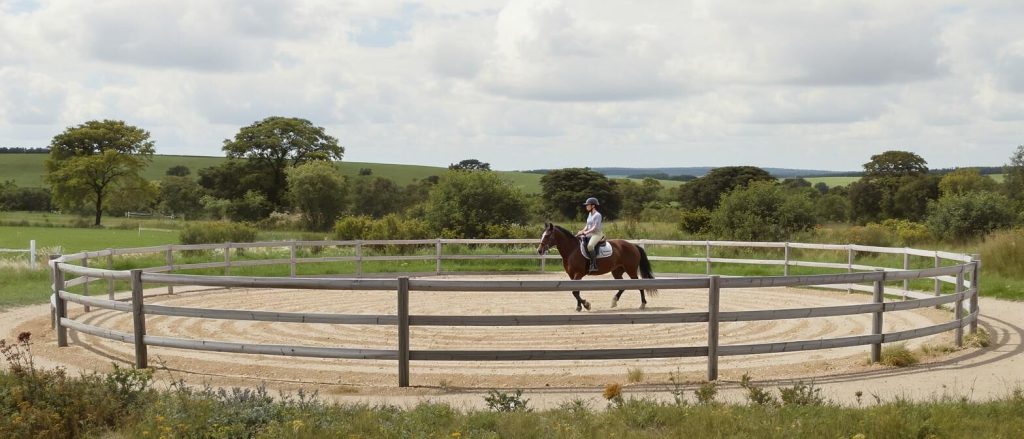 Découvrez comment fabriquer un rond de longe facilement avec notre guide pratique dédié aux cavaliers et propriétaires de chevaux. Conseils, matériaux et étapes pour un espace sécurisé et adapté à vos besoins.