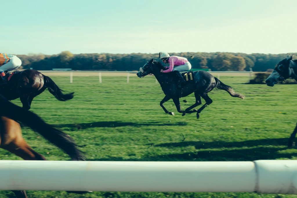 vitesse cheval