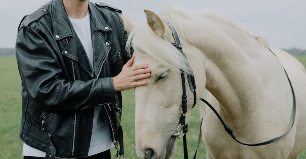 découvrez comment instaurer une relation de confiance avec un cheval grâce à des techniques éprouvées et une communication respectueuse.