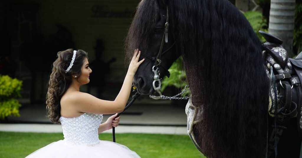 découvrez notre bonnet pour chevaux de trait, conçu pour offrir confort et protection optimale lors de vos activités équestres.