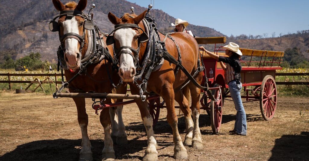 harnais pour chevaux de trait conçu pour un confort optimal et une performance maximale lors des travaux agricoles et du transport.