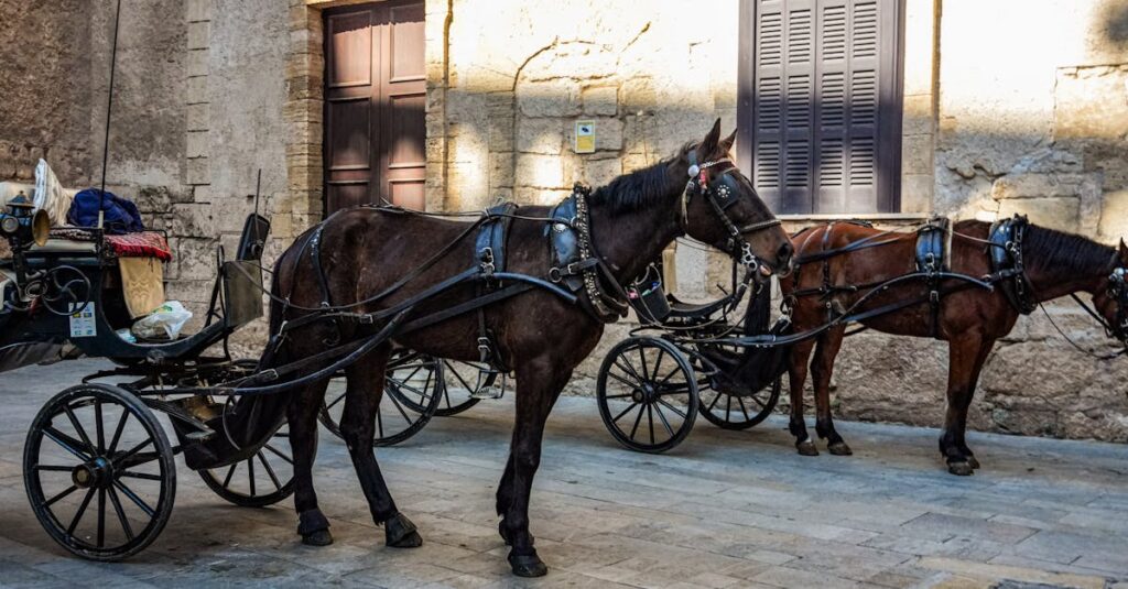 découvrez la magie d'une promenade en calèche tirée par des chevaux, une expérience authentique alliant tradition et charme.