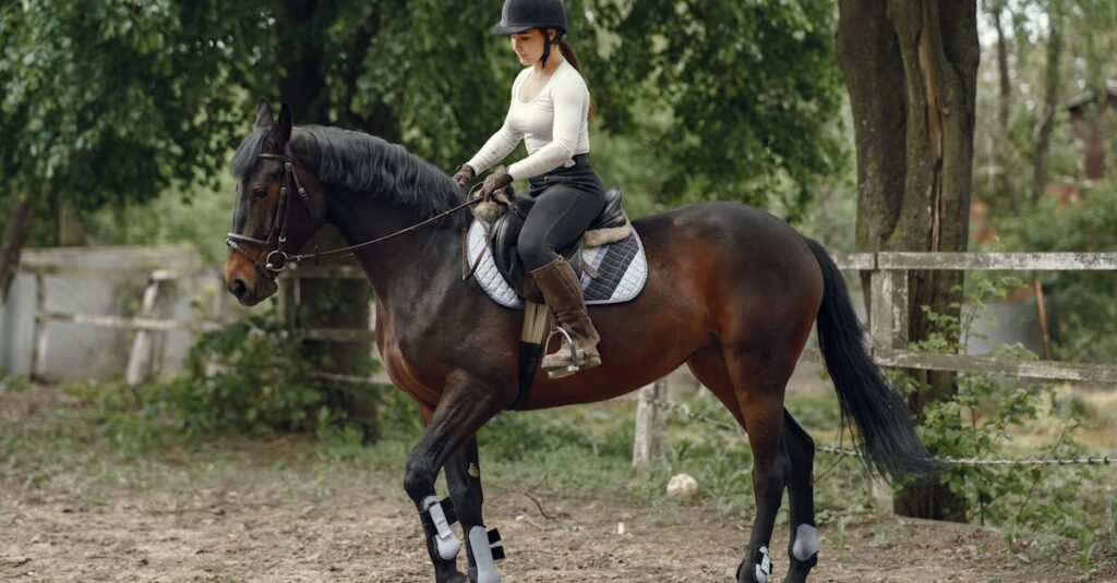 découvrez notre tapis de selle en nid d'abeille pour cheval, alliant confort et respirabilité pour une protection optimale lors de vos balades et entraînements.