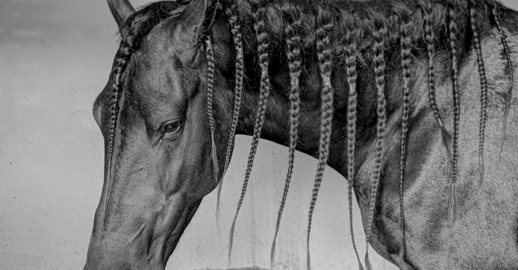 découvrez les erreurs courantes à éviter lors du tressage de la crinière de votre cheval pour un résultat impeccable et confortable.