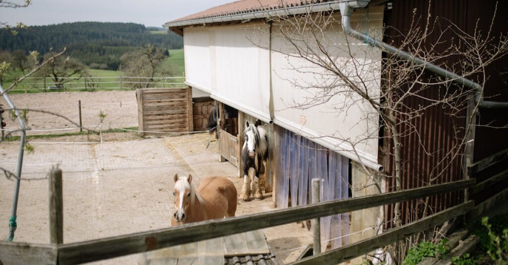 découvrez la législation en vigueur concernant les refuges pour chevaux, incluant les normes de protection, les obligations légales et les droits des propriétaires.