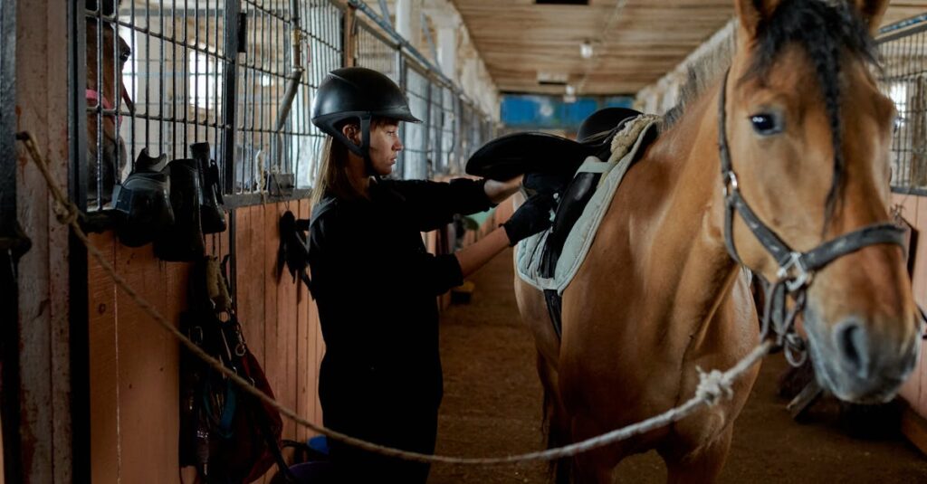 découvrez des traitements efficaces et adaptés pour le soin et la santé de votre cheval, assurant son bien-être au quotidien.